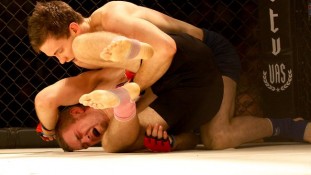 team-fight